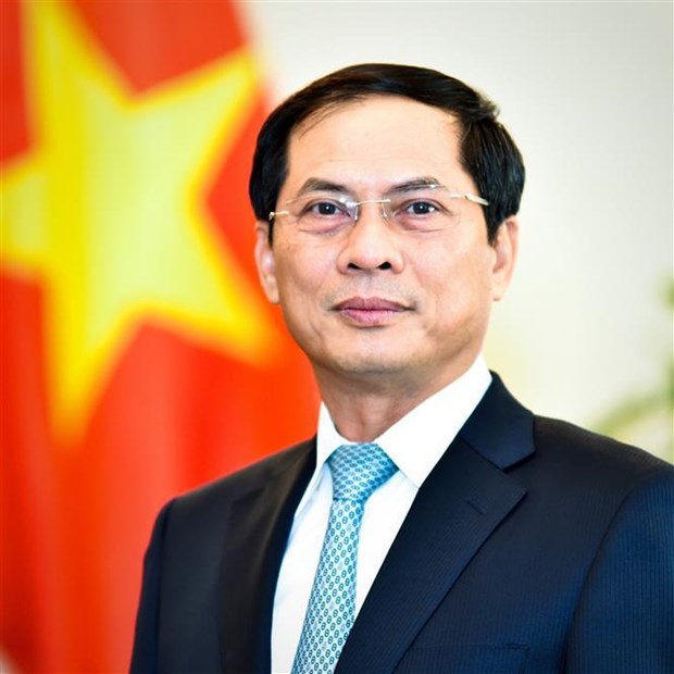 Diplomatic sector helps raise Vietnam’s fortune, position, prestige FM